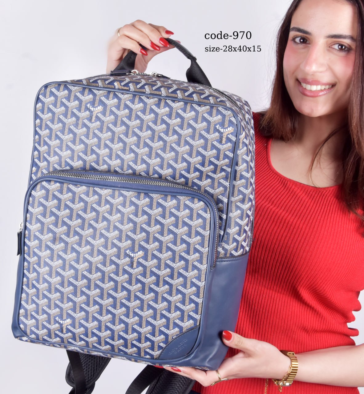 Goyard Backpack