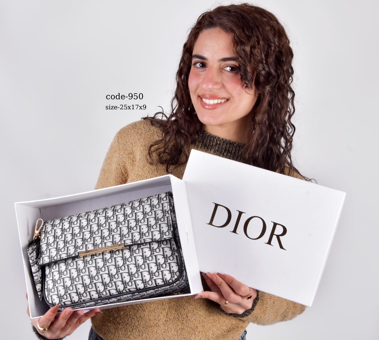 Elegant Oblique dior bag
