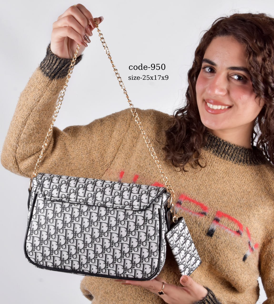 Elegant Oblique dior bag
