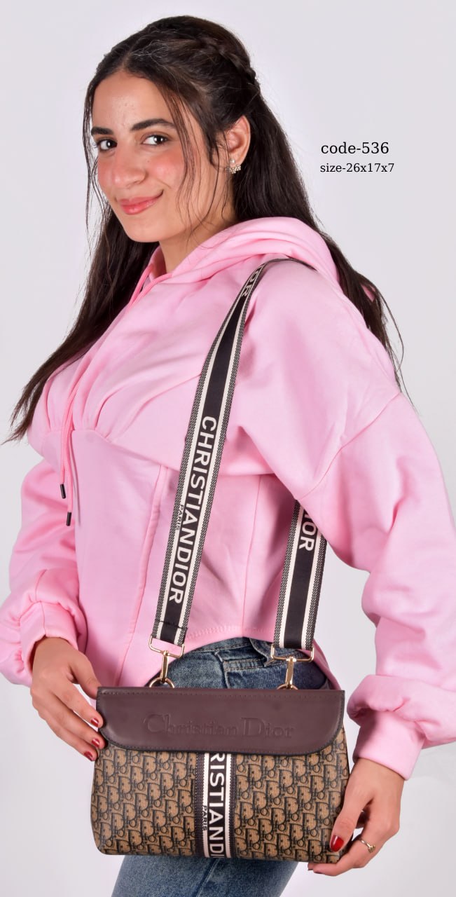 Christian Dior Inspired Elegance Crossbody Bag